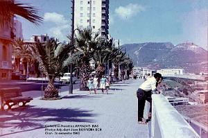Mas- 086- Oran 